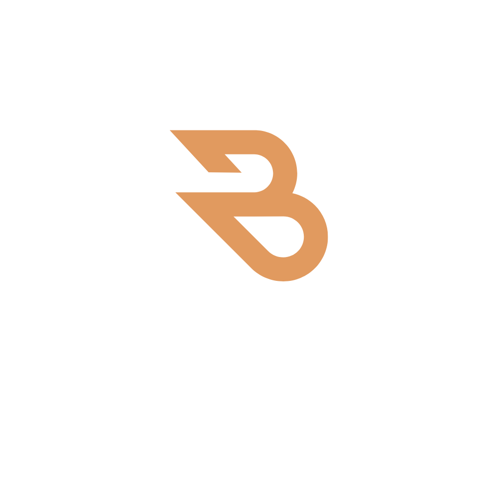 blomix.cl